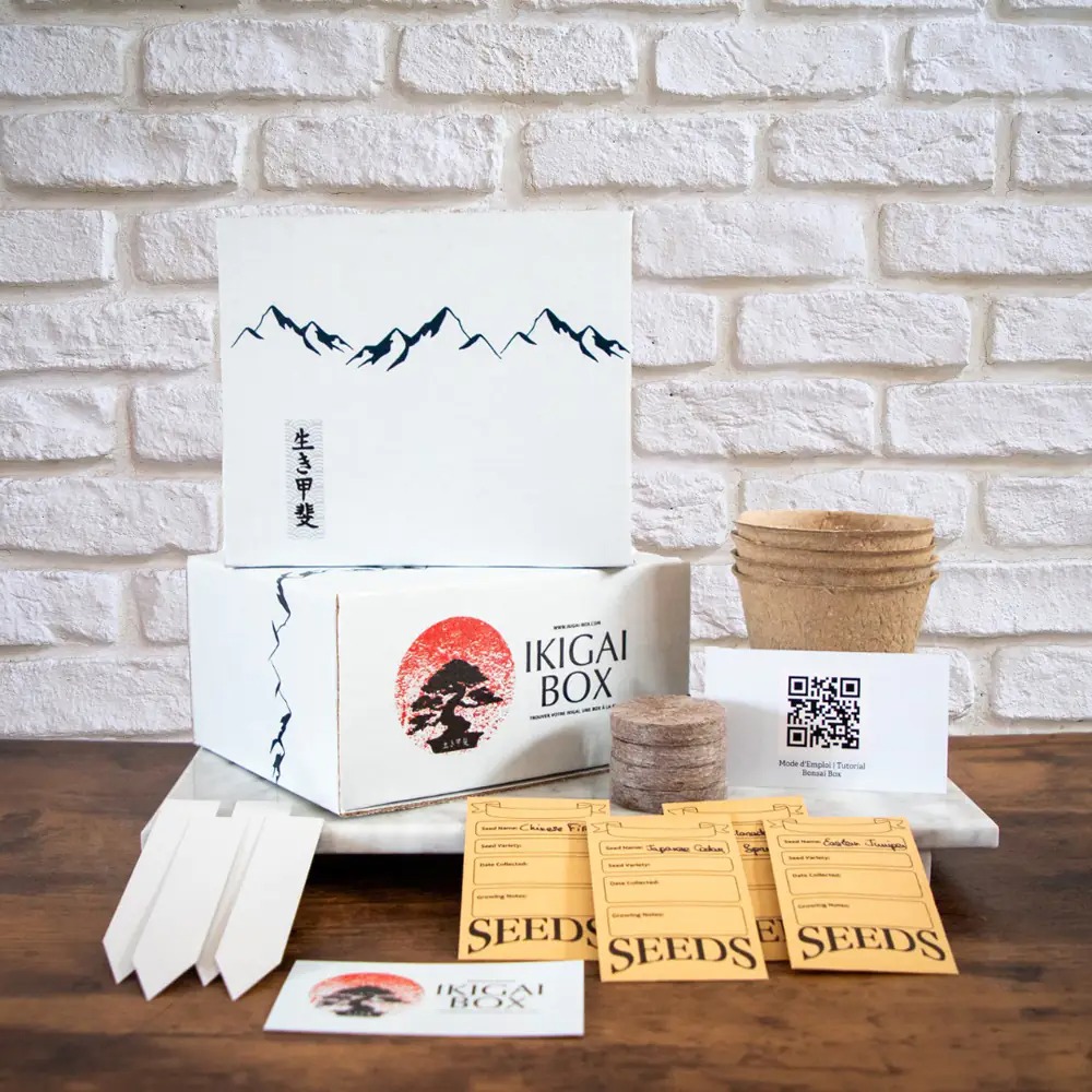 Complete Bonsai Box