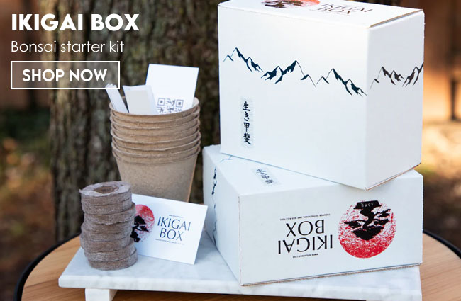 Bonsai starter kit