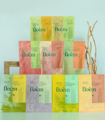 Boreal herbal tea complete kit