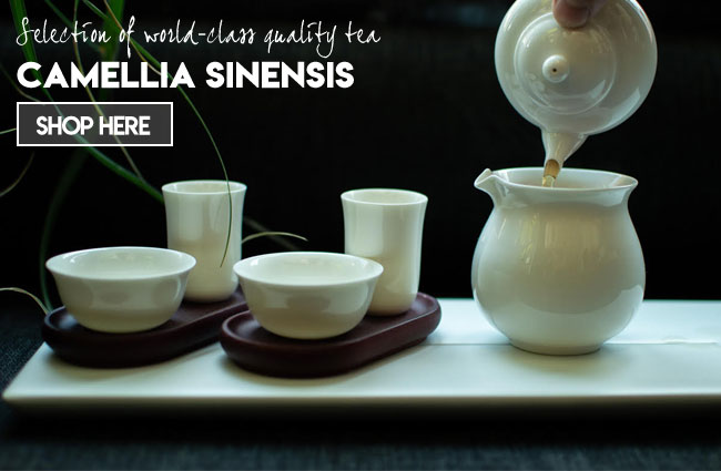 Selection of world class quality tea camellia sinensis