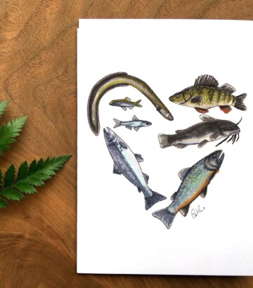 Heart of Fish Greeting Card