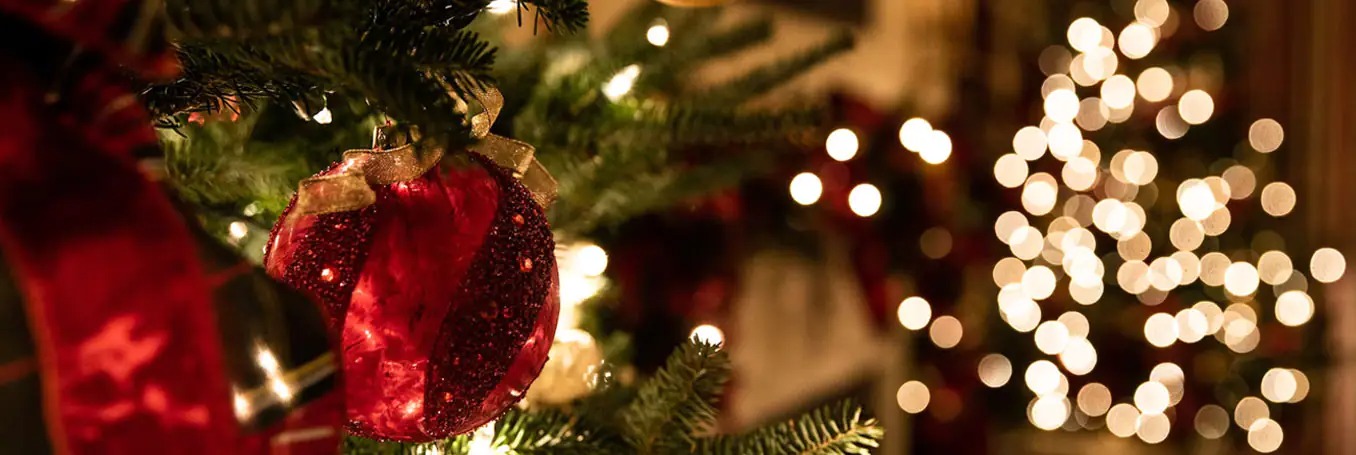 christmas gifts and holiday season