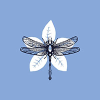 Logo Harrington