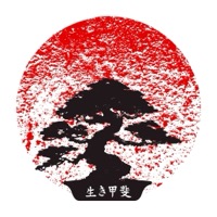 Logo Ikigai Box