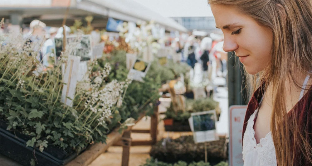 Local markets and picturesque towns road trip