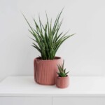Pine Planter - Conifer