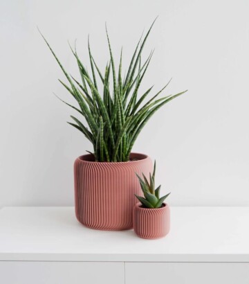 Pine Planter – Conifer