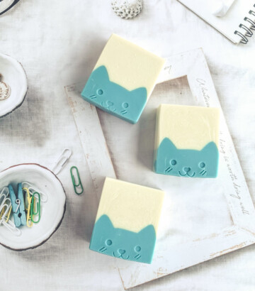 Kitty soap