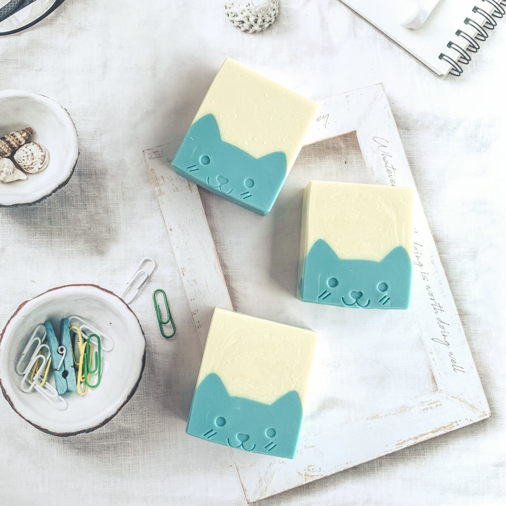 Kitty soap