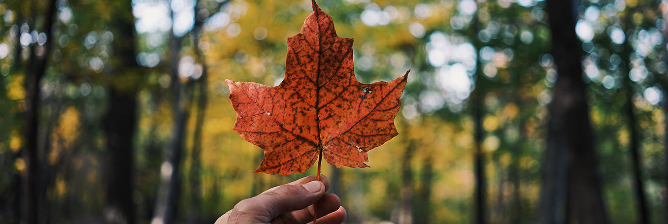 Shop local in Canada for your gift ideas