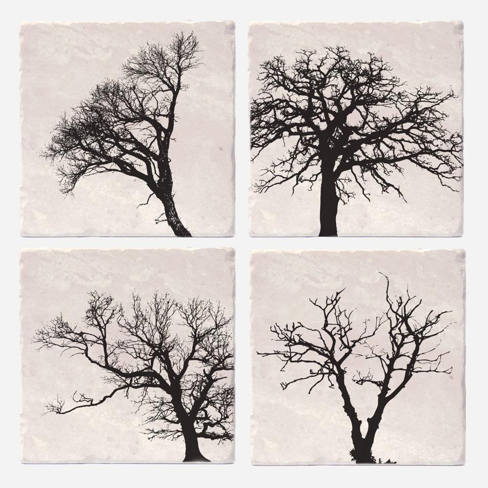 Coasters set trees of life
