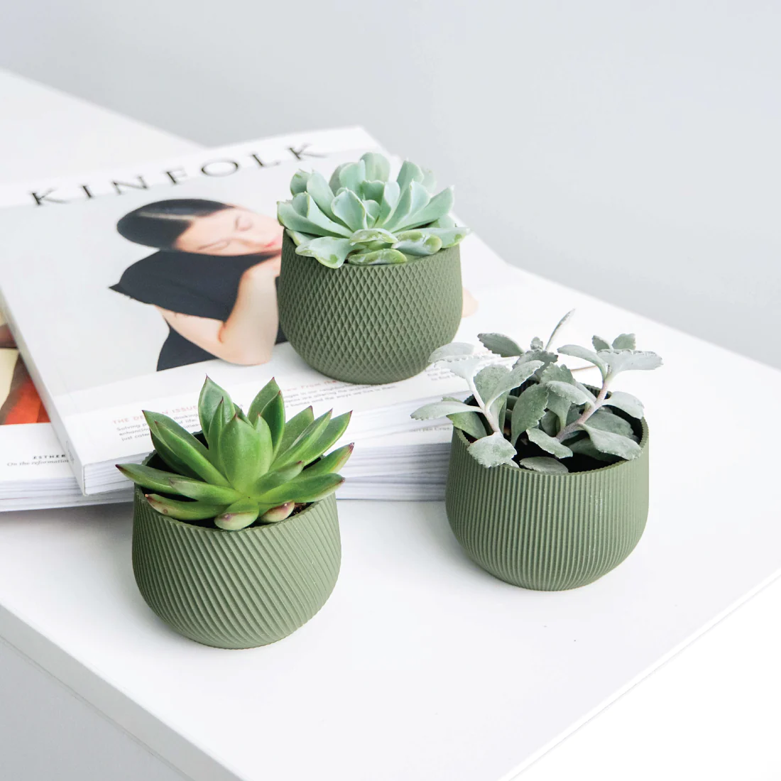 Mini Planter Set – Conifer